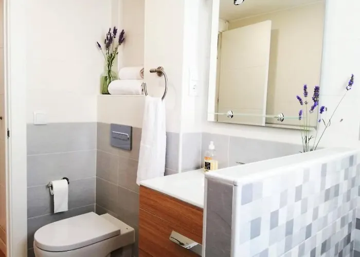 Cobexo. Moderno Y Luminoso En El Centro De * Jaca