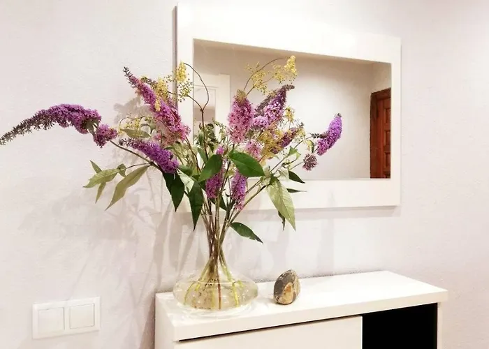 Cobexo. Moderno Y Luminoso En El Centro De * Jaca