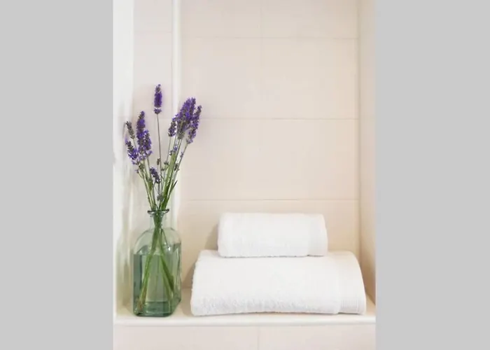 Cobexo. Moderno Y Luminoso En El Centro De Jaca